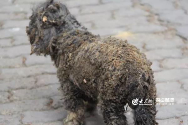 突發(fā)！青島一居民樓發(fā)生爆燃！已造1人死亡，7人受傷！3公里外有震感…